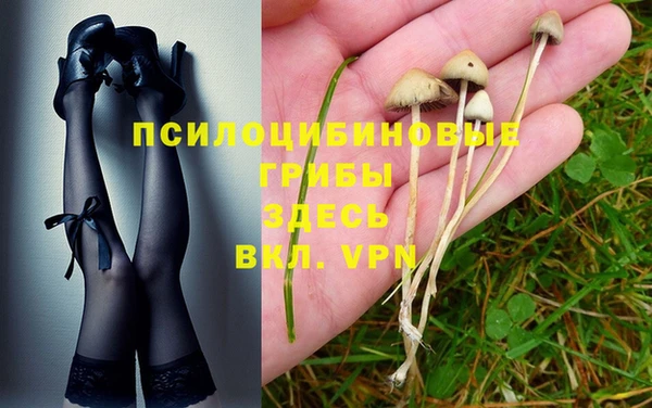 хмурый Баксан